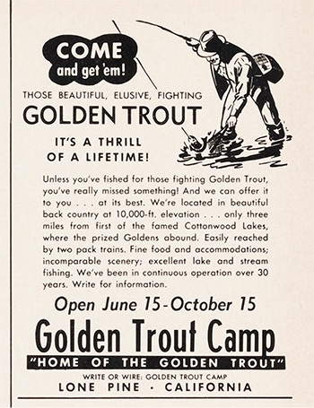 golden trout camp